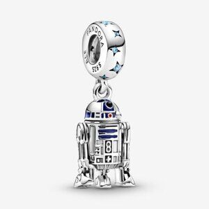 Pandora Charms